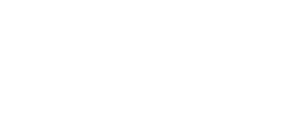 NOVO LOGO